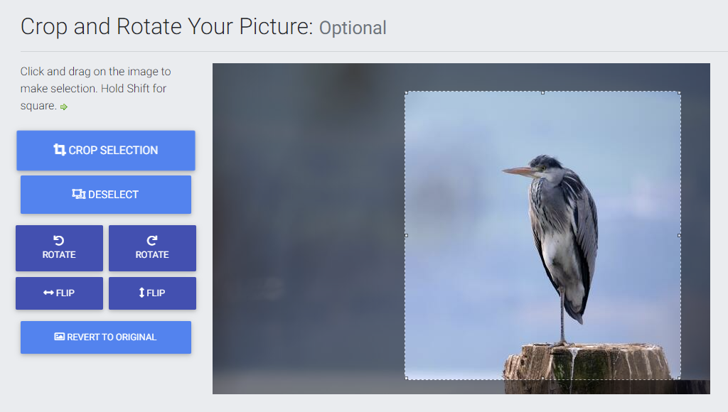 Crop images online for free Crop images online for free